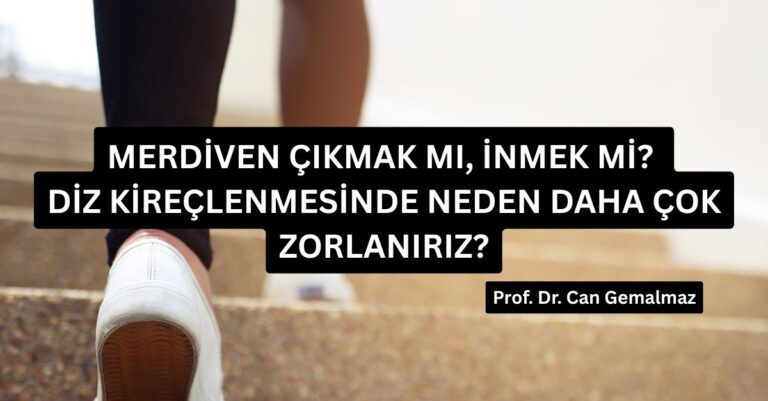 Merdiven Çıkmak mı, İnmek mi? Diz Kireçlenmesinde Neden Daha Çok Zorlanırız?