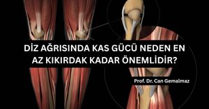 Diz Ağrısında Kas Gücü Neden En Az Kıkırdak Kadar Önemlidir?