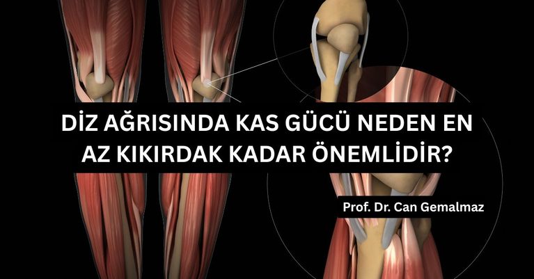 Diz Ağrısında Kas Gücü Neden En Az Kıkırdak Kadar Önemlidir?